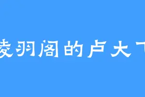 凌羽阁的卢大飞