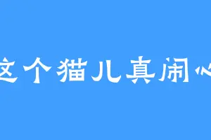 这个猫儿真闹心