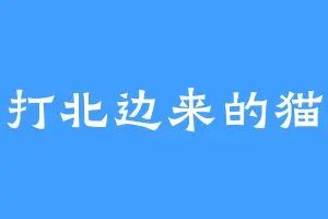 打北边来的猫