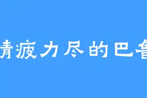 精疲力尽的巴鲁