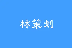 林策划