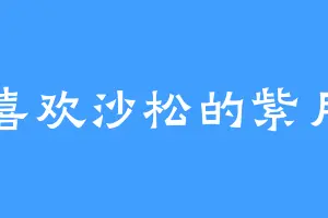 喜欢沙松的紫月