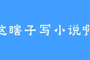 这瞎子写小说啊