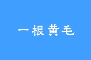 一根黄毛