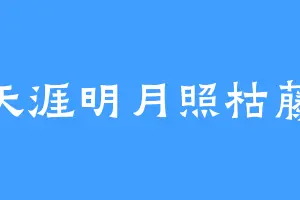 天涯明月照枯藤