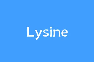 Lysine