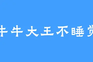 牛牛大王不睡觉