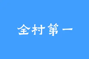 全村第一