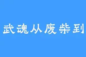 顽石武魂从废柴到至尊