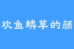 喜欢鱼鳞草的颜独