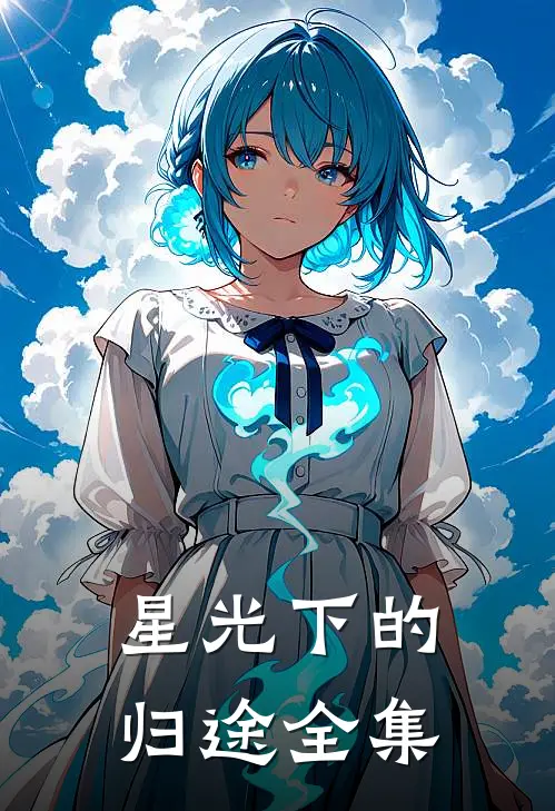 星光下的归途全集