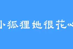 小狐狸她很花心
