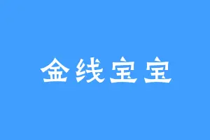 金线宝宝