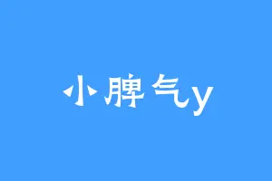 小脾气y