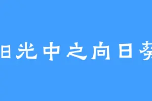 阳光中之向日葵