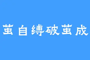 作茧自缚破茧成迷