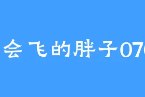 不会飞的胖子0708
