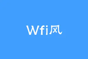 Wfi风
