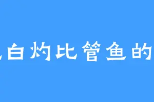 爱吃白灼比管鱼的齐宣