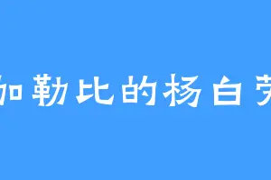 加勒比的杨白劳