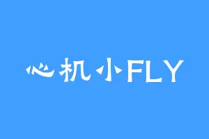 心机小FLY
