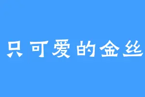 一只可爱的金丝柚