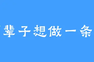 下辈子想做一条鱼