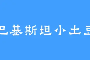 巴基斯坦小土豆