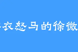 鲜衣怒马的徐微雨