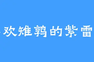 喜欢雉鹑的紫雷宗