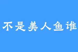 我不是美人鱼谁是