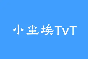 小尘埃TvT
