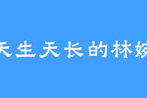 天生天长的林婉