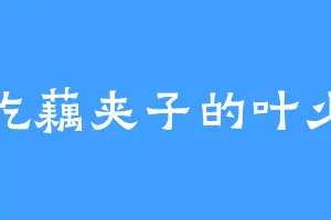 爱吃藕夹子的叶少主