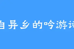 来自异乡的吟游诗人