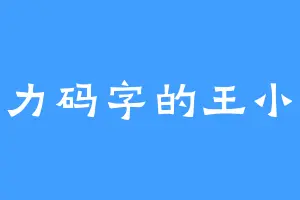 努力码字的王小晨