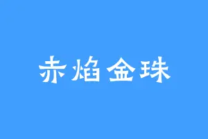 赤焰金珠