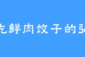 爱吃鲜肉饺子的弘霖