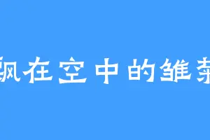 飘在空中的雏菊