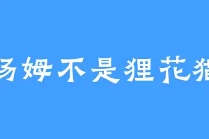 汤姆不是狸花猫