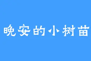 晚安的小树苗