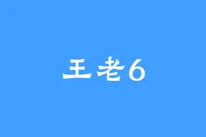 王老6