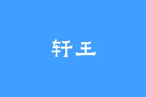 轩王