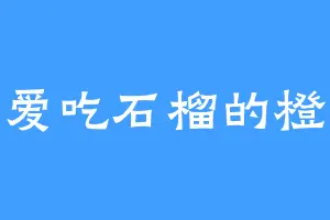 爱吃石榴的橙