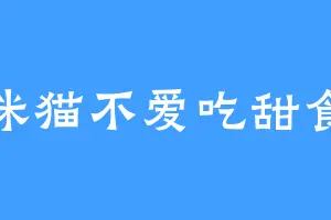 咪猫不爱吃甜食