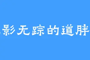 无影无踪的道胖子