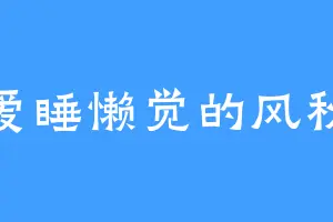 爱睡懒觉的风秋