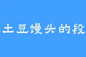 爱吃土豆馒头的段雨芩