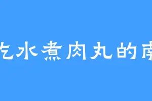 爱吃水煮肉丸的南怀