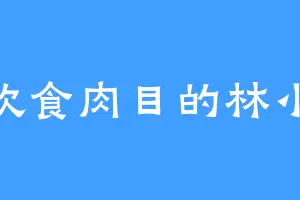 喜欢食肉目的林小桃